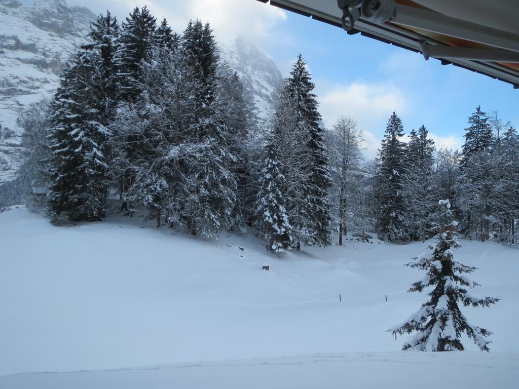 Mom - Alpine Boutique Apartments, Grindelwald Gletscher, Eiger View Terrace Studio 部屋 写真