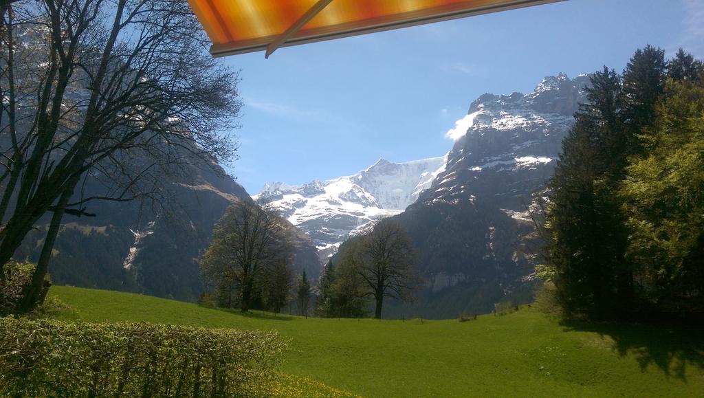 Mom - Alpine Boutique Apartments, Grindelwald Gletscher, Eiger View Terrace Studio 部屋 写真