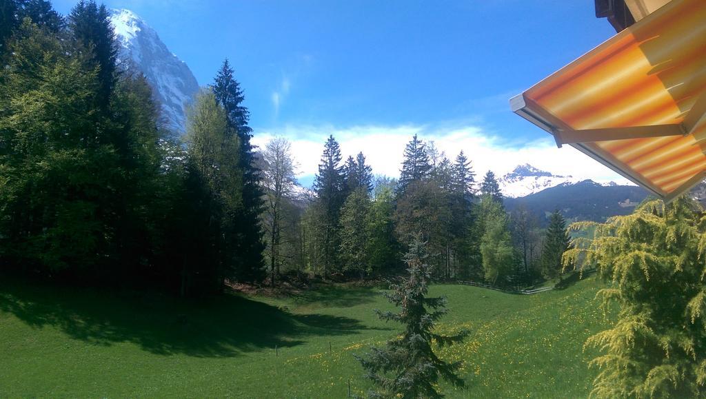 Mom - Alpine Boutique Apartments, Grindelwald Gletscher, Eiger View Terrace Studio 部屋 写真