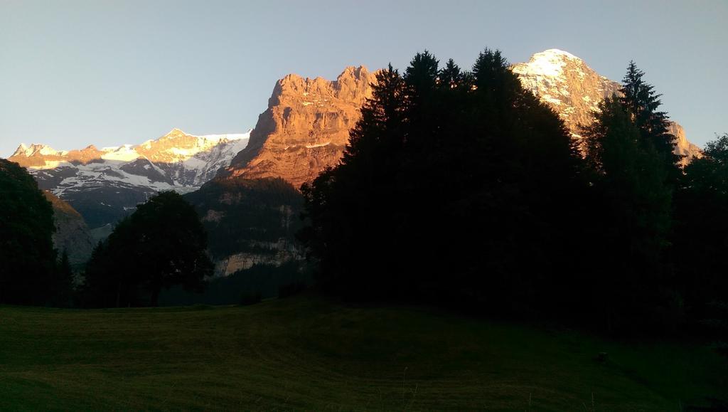 Mom - Alpine Boutique Apartments, Grindelwald Gletscher, Eiger View Terrace Studio 部屋 写真