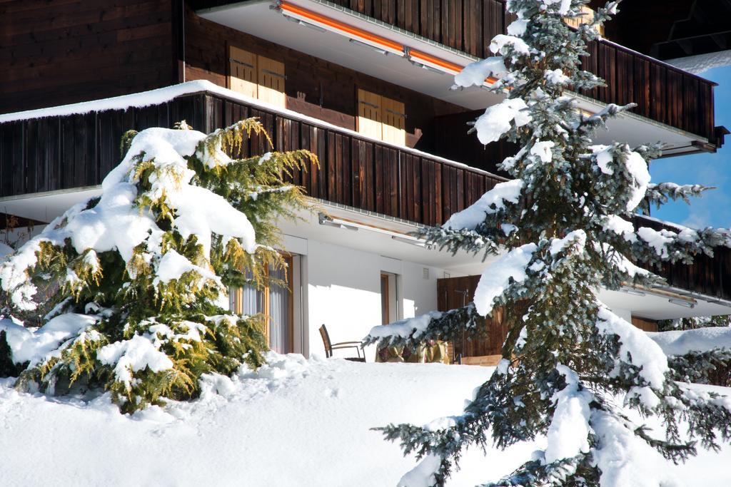 Mom - Alpine Boutique Apartments, Grindelwald Gletscher, Eiger View Terrace Studio 部屋 写真