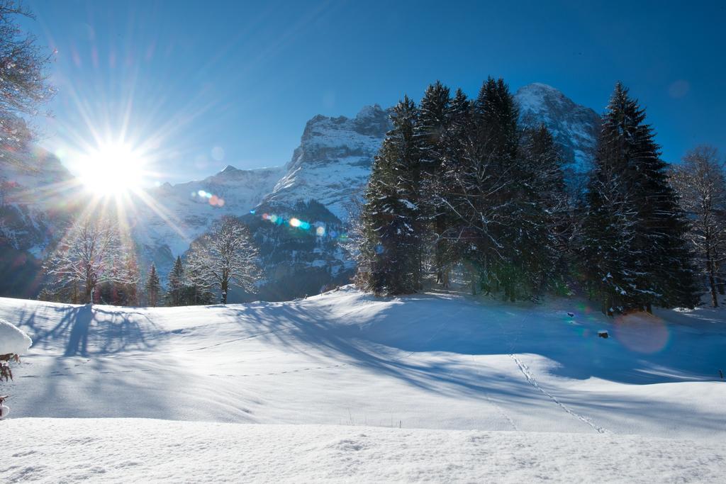 Mom - Alpine Boutique Apartments, Grindelwald Gletscher, Eiger View Terrace Studio 部屋 写真